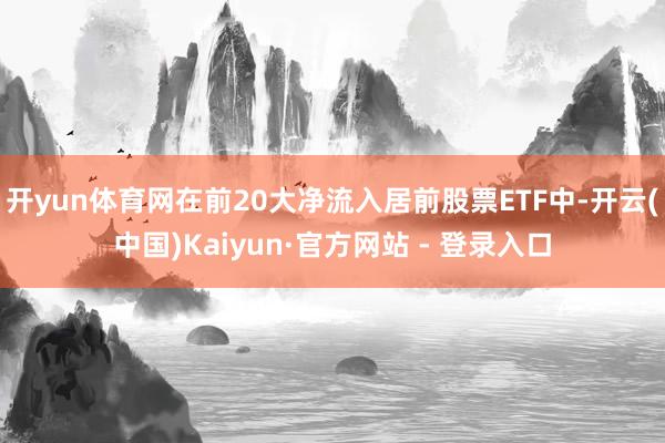 开yun体育网在前20大净流入居前股票ETF中-开云(中国)Kaiyun·官方网站 - 登录入口