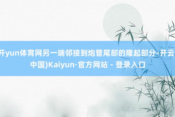 开yun体育网另一端邻接到炮管尾部的隆起部分-开云(中国)Kaiyun·官方网站 - 登录入口