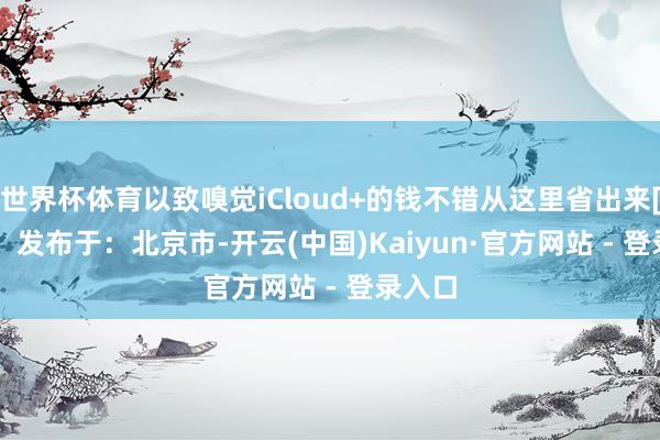世界杯体育以致嗅觉iCloud+的钱不错从这里省出来[含笑]   发布于：北京市-开云(中国)Kaiyun·官方网站 - 登录入口
