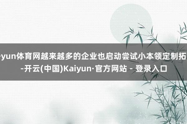 开yun体育网越来越多的企业也启动尝试小本领定制拓荒-开云(中国)Kaiyun·官方网站 - 登录入口