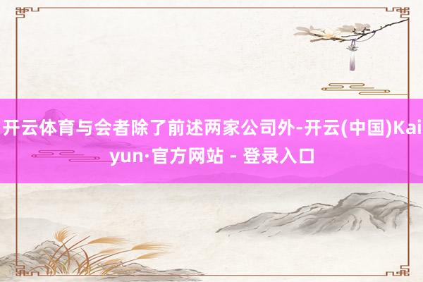 开云体育与会者除了前述两家公司外-开云(中国)Kaiyun·官方网站 - 登录入口